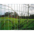 Holland Wire Mesh/wave-shaped wire mesh